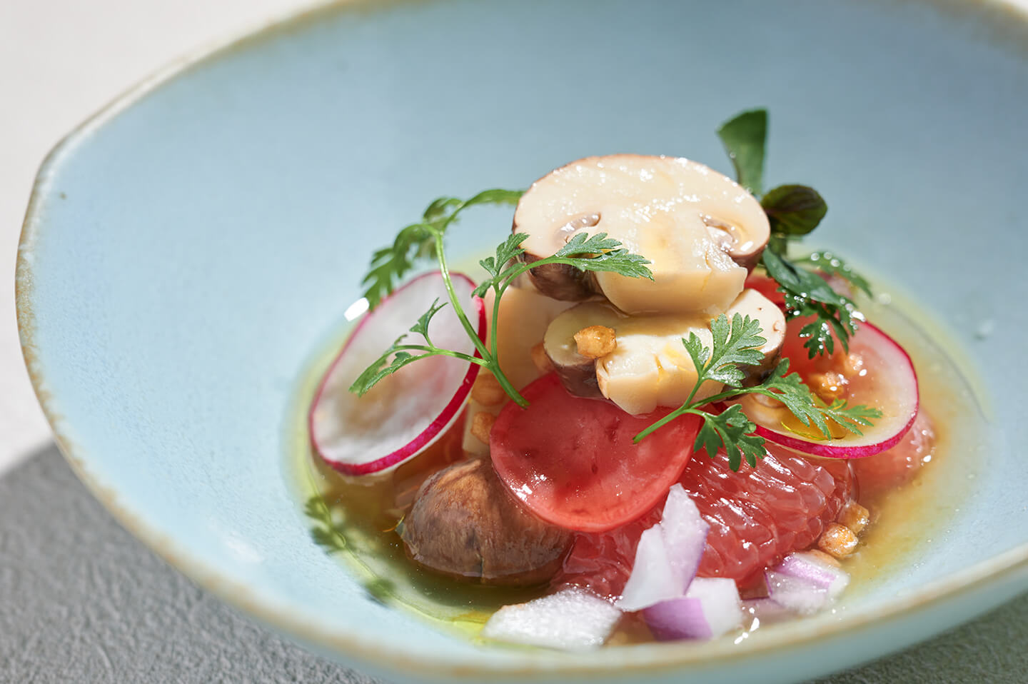 2025年2月26日再開】MUSHROOM TOKYO リニューアルオープンの