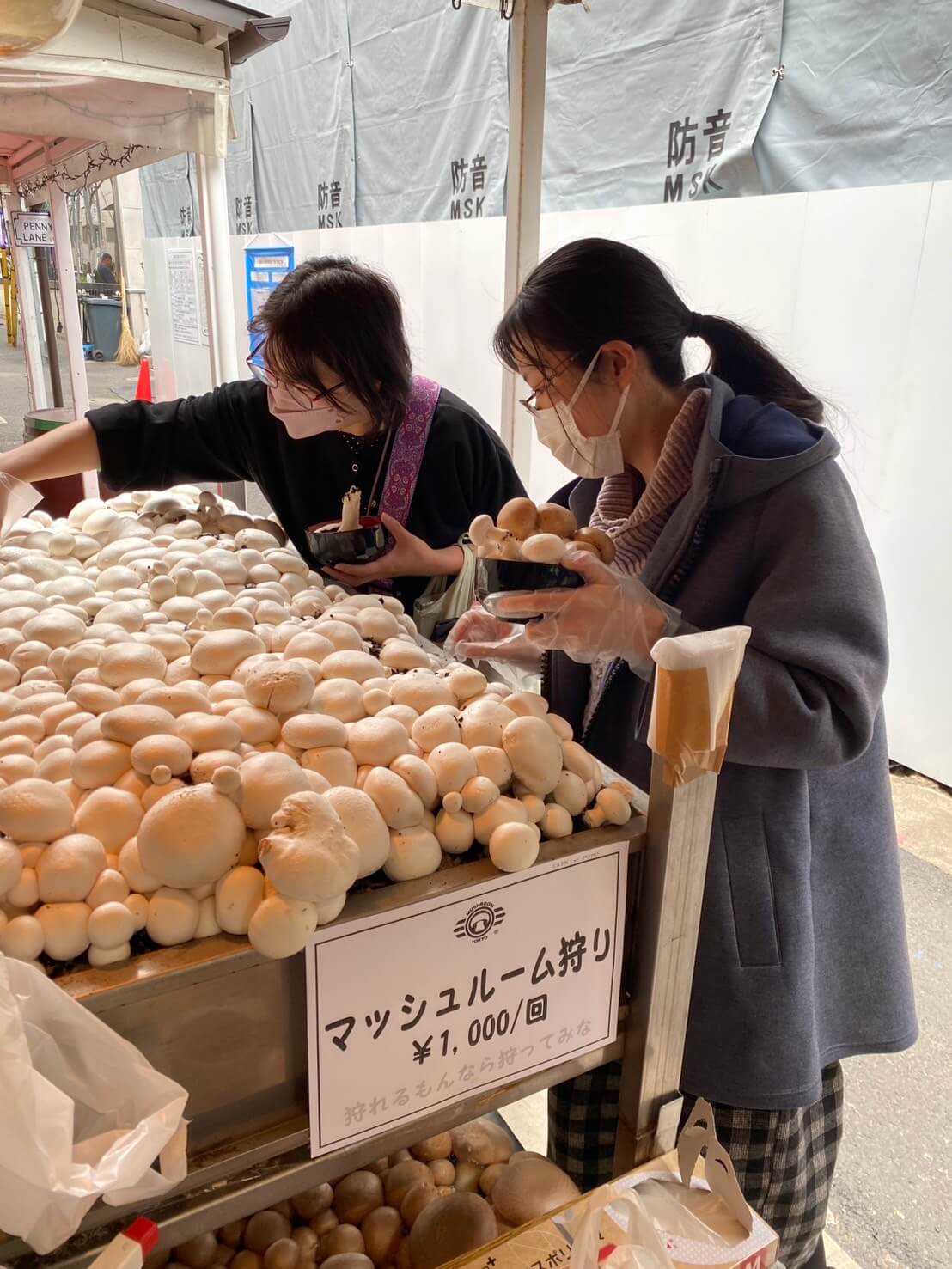 マッシュルームトーキョー MUSHROOMTOKYO 11th party 表参道 マッシュルーム摘み取り風景04