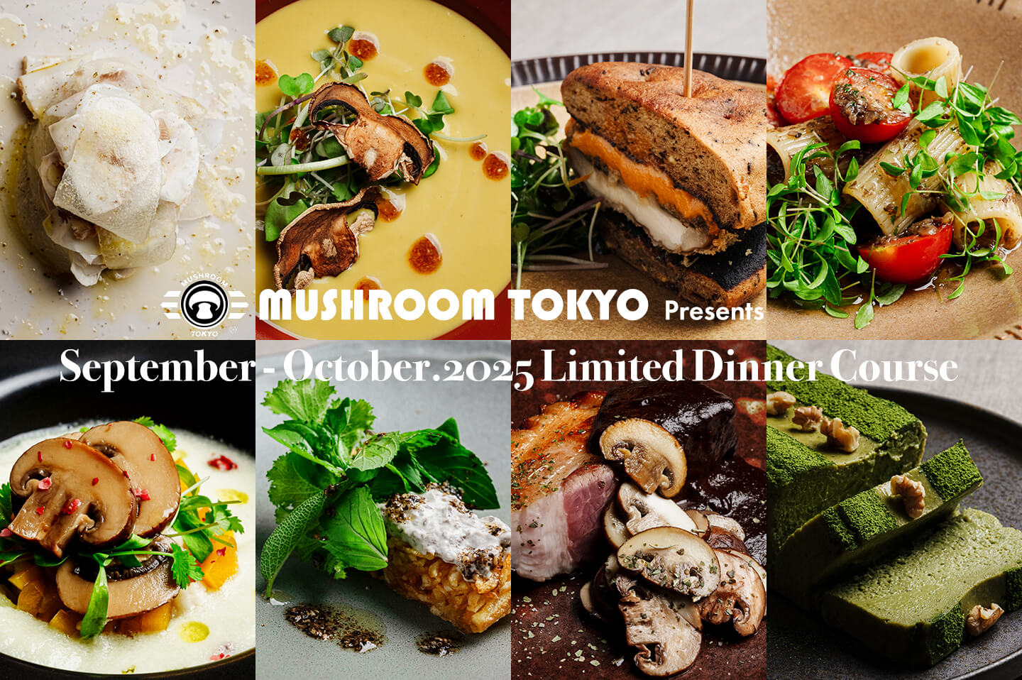 2025年9-10月度 表参道店ディナーメニュー「スペシャル＆ヴィーガン