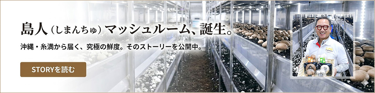 島人マッシュルーム、誕生。沖縄・糸満から届く、究極の鮮度。