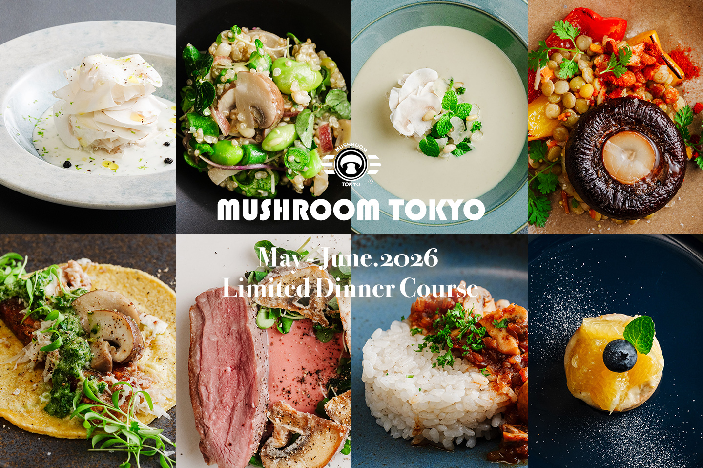 MUSHROOM TOKYO(マッシュルームトーキョー)表参道店 5-6月限定ディナー スペシャルコース