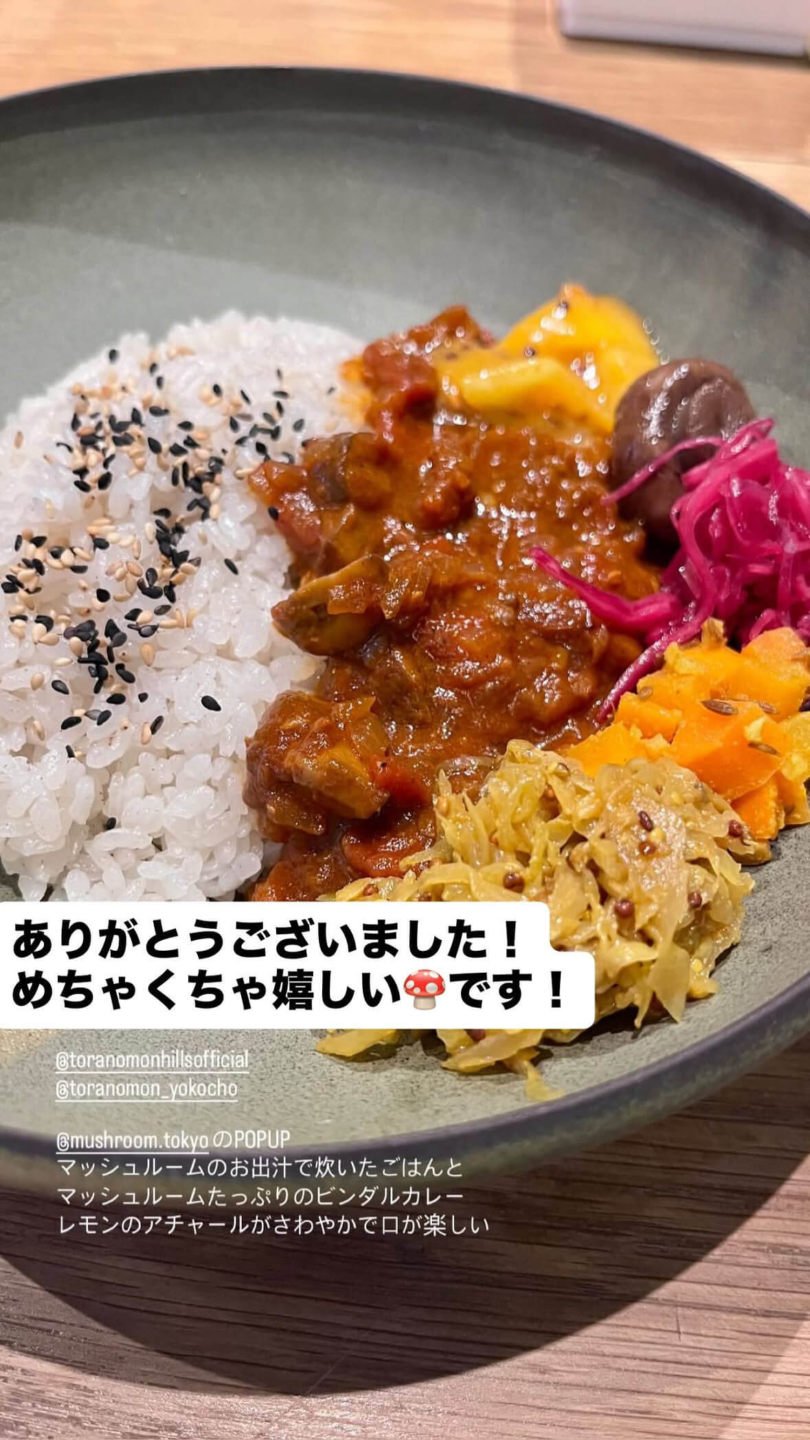 マッシュルームビンダルーカレー